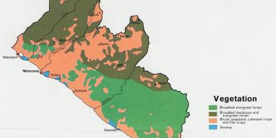 Kaart taimkatte kaart Libeeria